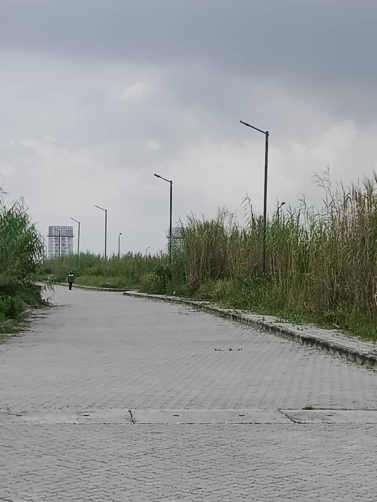 WhatsApp Image 2025-11-03 at 18.23.49_70082c53