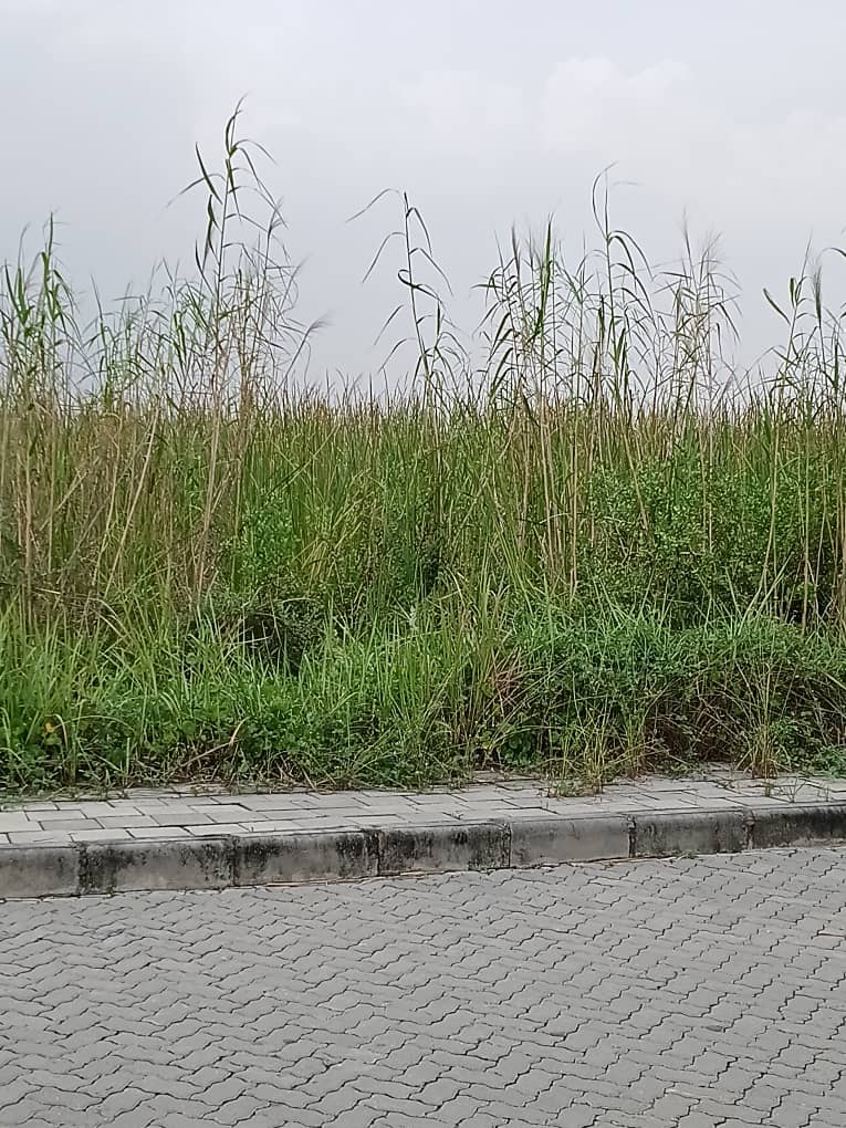 WhatsApp Image 2025-11-03 at 18.23.50_8067a9e6