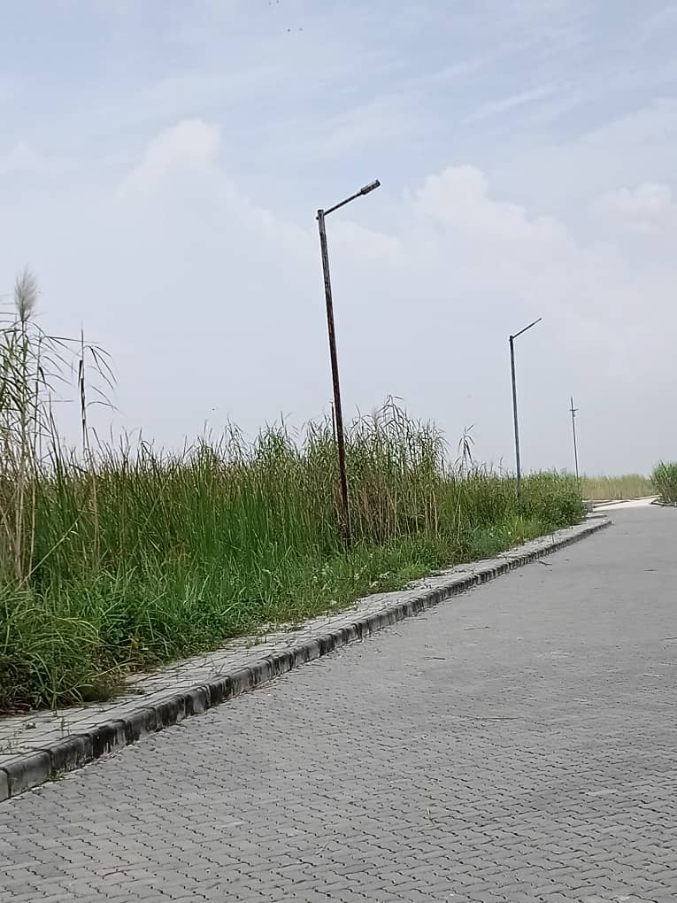 WhatsApp Image 2025-11-03 at 18.23.50_cb2f07e1